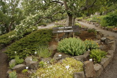 75 Botanischer Garten - Lystigardur