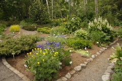 78 im botanischen Garten