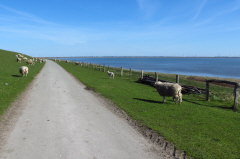 10 entlang der Salzwasserlagune