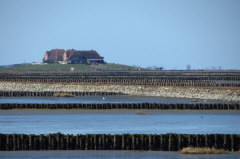 16 Hallig Nordstrandischmoor