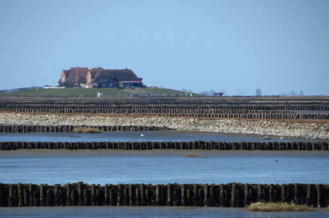 16 Hallig Nordstrandischmoor