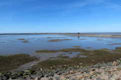 18 Lorenbahn zur Hallig Nordstrandischmoor