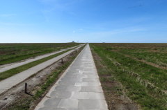 33 Fahrdamm zur Hamburger Hallig