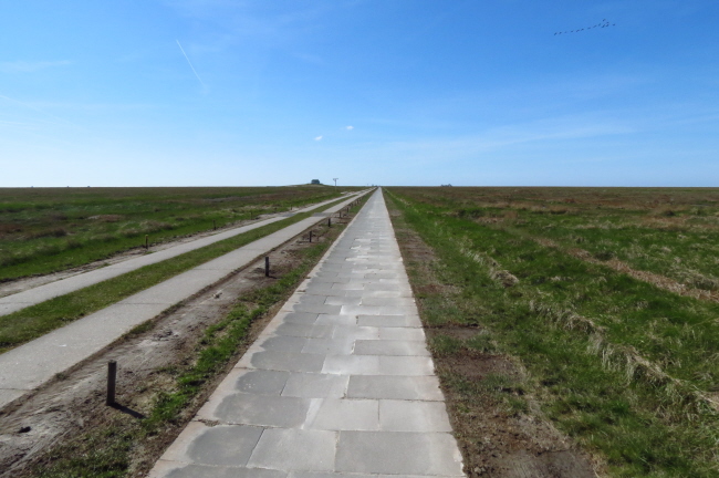 33 Fahrdamm zur Hamburger Hallig