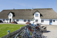 41 Hallig Krog