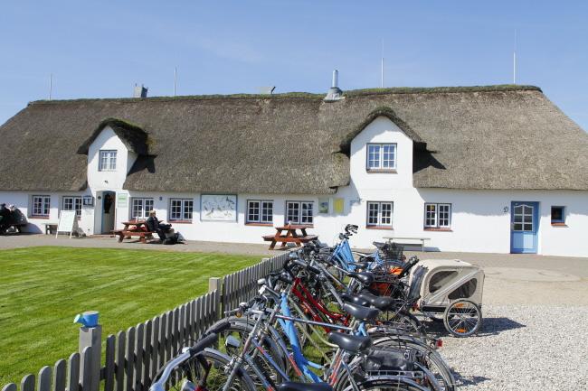41 Hallig Krog