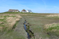 43 bebaute Warft- Hamburger Hallig
