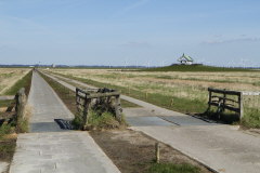 44 Fahrdamm von der Hamburger Hallig zum Festland