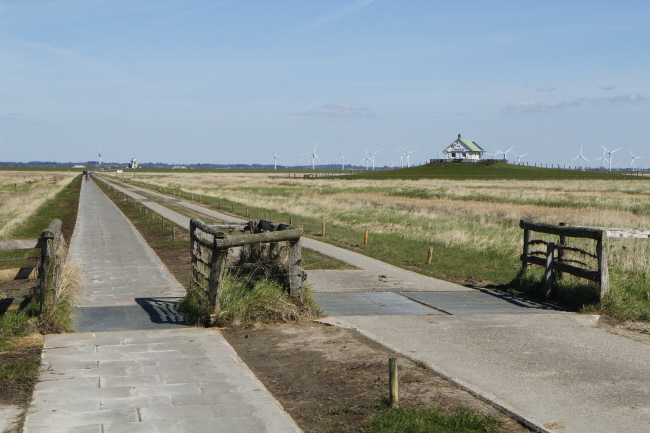 44 Fahrdamm von der Hamburger Hallig zum Festland