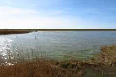 59 Lttmoorsee