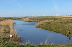 65 Blick ber ein Siel zum Windpark