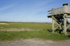 69 Aussichtsturm Kranz am Mitteldeich in der Hattstedter Marsch