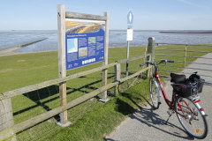 6 Nationalpark Wattenmeer-Nordstrand