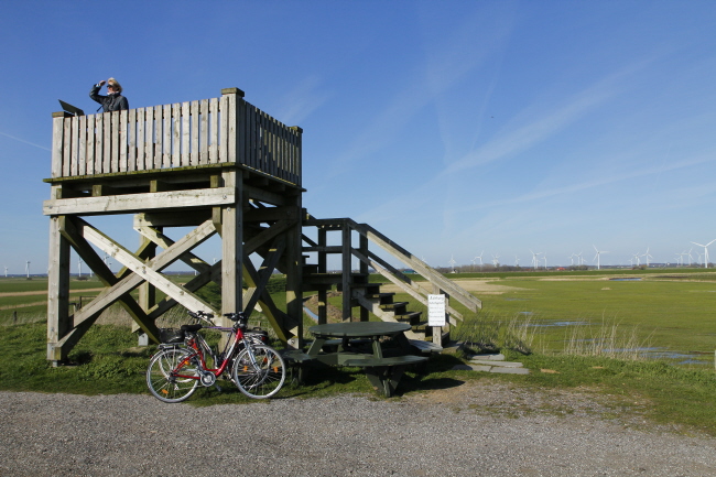 71 Aussichtsturm Kranz am Mitteldeich in der Hattstedter Marsch