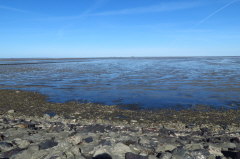 7 Nationalpark Wattenmeer-Nordstrand