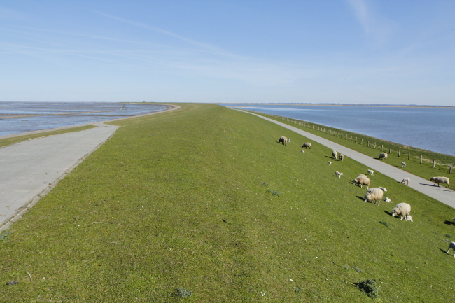 9 Deich zwischen Nordsee & Salzwasserlagune