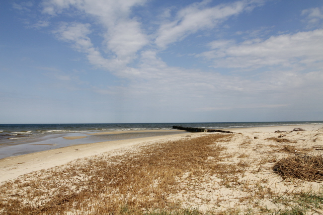 107 Mndungsgebiet des Uggerby 