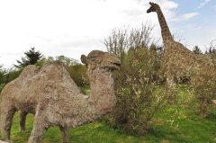 113 ein zweihckriges Kamel und eine Giraffe