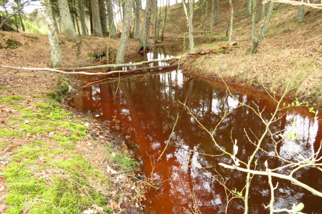 18 Bachlauf der Bgsted Rende