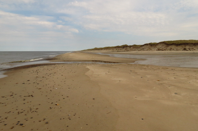 21 breiter Strand vor der Tvorup Klitplantage