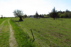 222 vorbei an Wiesen und Weiden