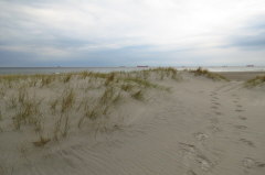 64 Strandspaziergang - Skagen Snderstrand