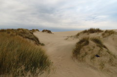 73 hinauf auf die Wanderdne Rbjerg Mile
