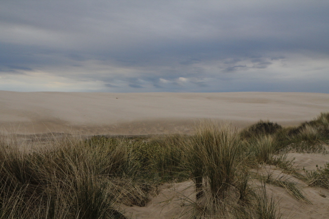 75 eindrucksvolle Wolken ber -Dnemarks Sahara