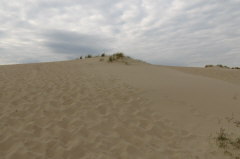 80 wir stiefeln durch den lockeren Sand zum Dnenkamm