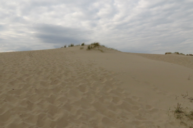 80 wir stiefeln durch den lockeren Sand zum Dnenkamm