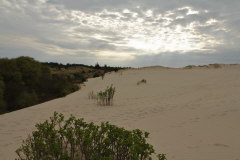 81 Rbjerg Mile ist bis 35 m aufgetrmt