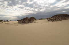 84 in der Sandwste