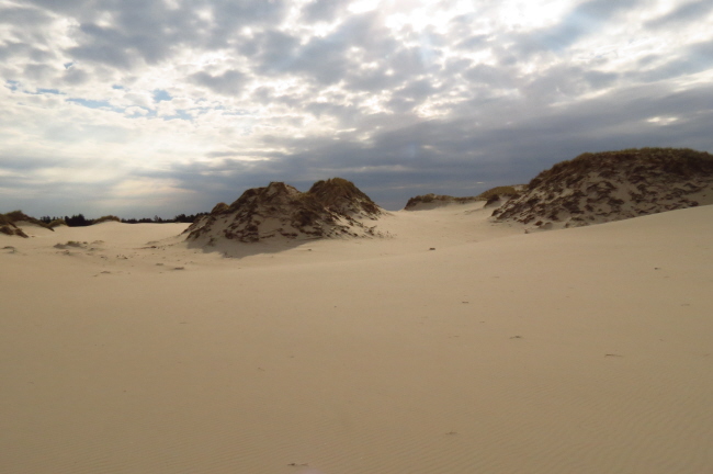 84 in der Sandwste