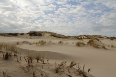 85 unberhrte Natur