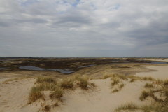 86 der Wind legt kleine Grundwasserseen und Moore frei