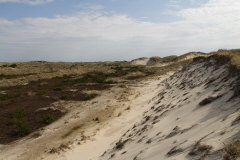 91 aufgetrmte Dnen