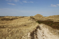 92 Dnenkmme versperren den Weg