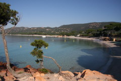 106 Strand von Palombaggia