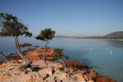 107 Aussicht vom Strand Palombaggia