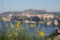 114 Kstenwanderung nach Bonifacio