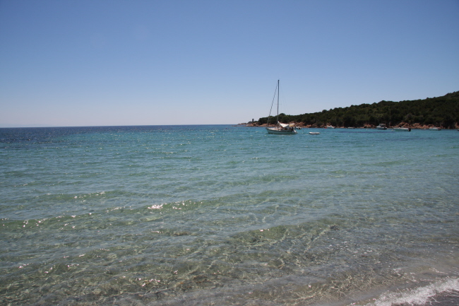 133 tolles Wasser- nur kein einladender Strand