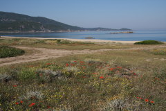 136 Plage de Capu Laurosu