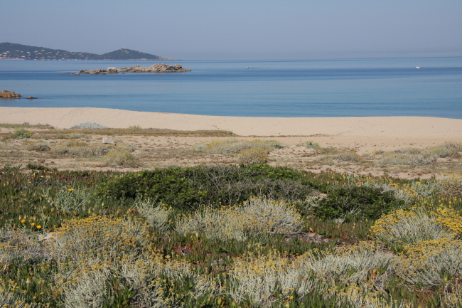 138 menschenleerer Strand