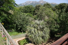 169 ppige Vegetation