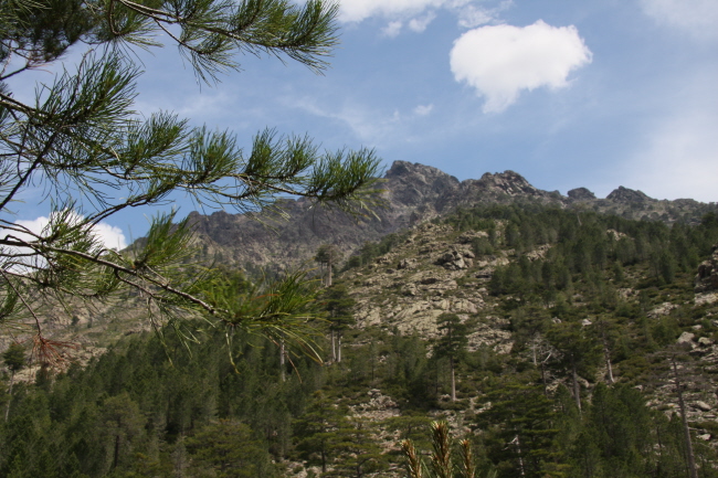 28 schner Ausblick