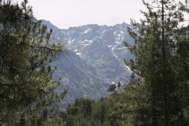 31 Blick zum Monte Cinto