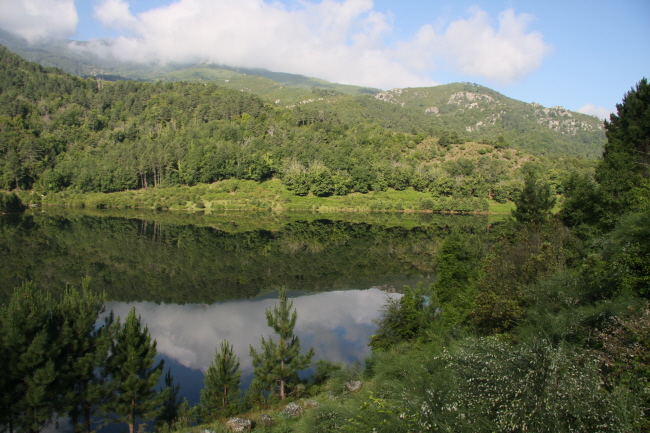 41 am Stausee ist die Landschaft lieblich