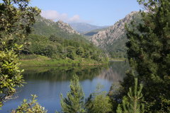 42 Spiegelung im See