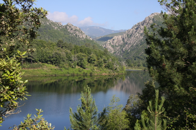 42 Spiegelung im See