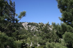 89 Wanderung zur Punta di a Vacca Morta